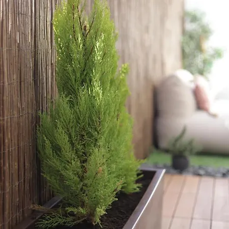 아파트 Supertubos Terrace *